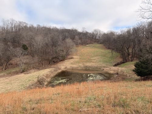 7 Crooked Hill Rd, Pulaski, TN, 38478 | Card Image