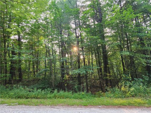 Lot 13 Whitaker Road, Rossie, NY, 13646 | Card Image