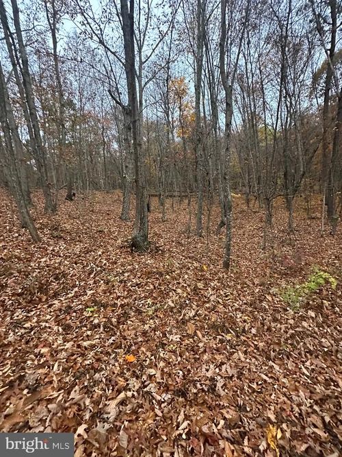 Lot 370 Crosswoods Dr, FORT VALLEY, VA, 22652 | Card Image