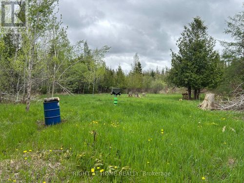 0 Mount Horeb Road, Kawartha Lakes (Manvers), ON, K0L2K0 | Card Image