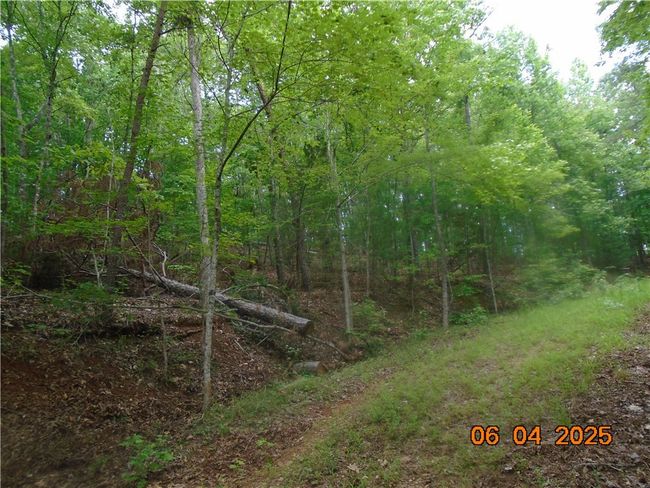 1000 E Cedar Creek Rd, Home with 0 bedrooms, 0 bathrooms and null parking in Sunset SC | Image 4