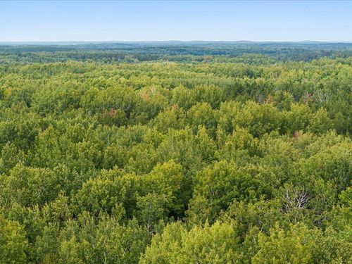 Lot I Sandbar Lane, Merrifield, MN, 56465 | Card Image