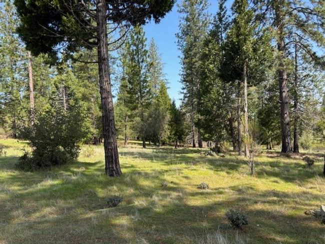 19292 Shawnee Trl, Home with 0 bedrooms, 0 bathrooms and null parking in Mokelumne Hill CA | Image 67