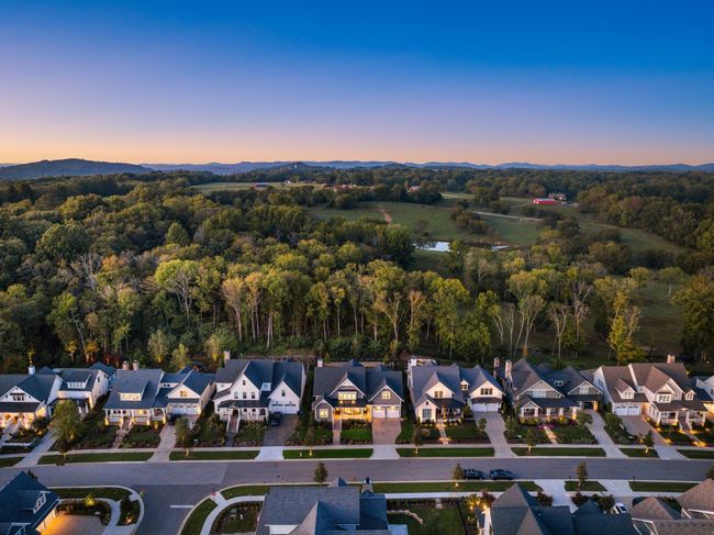 8672 Belladonna Dr, House other with 5 bedrooms, 7 bathrooms and 2 parking in College Grove TN | Image 11
