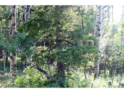28 Sun Flower Rd, Black Hawk, CO, 80422 | Card Image