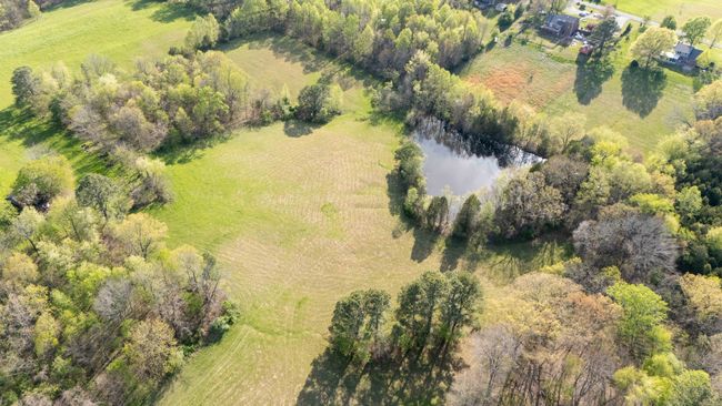 A closer view of the fields by the pond. NOTE: Aerial Views Show Adjoining Properties Not Included in Sale | Image 9