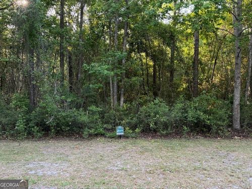 V/L 21 Lighthouse Circle, Woodbine, GA, 31569 | Card Image