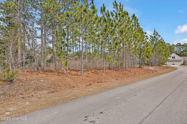 13 Whimbrell Way, Home with 0 bedrooms, 0 bathrooms and null parking in Hampstead NC | Image 5