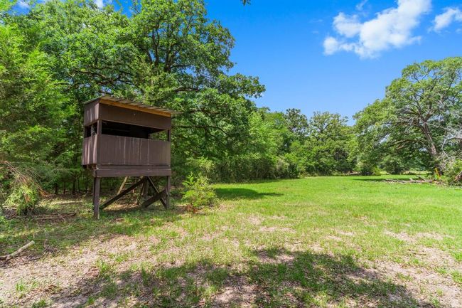 The sellers have some great stories of the bucks they have tagged on property! | Image 43