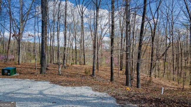 LOT-9A - 0 Maple Hill Ln, Home with 0 bedrooms, 0 bathrooms and null parking in Chickamauga GA | Image 36