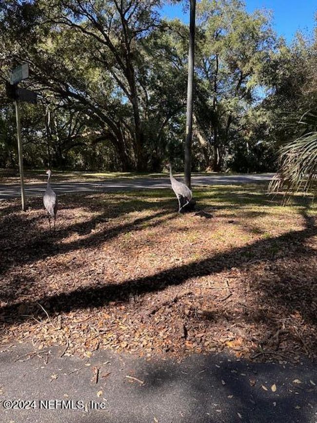 00-08 Se 265 Th Court Road, House other with 4 bedrooms, 3 bathrooms and null parking in Umatilla FL | Image 35