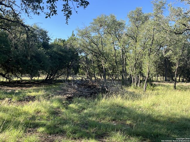 0 Rolling Crk, Home with 0 bedrooms, 0 bathrooms and null parking in Spring Branch TX | Image 19