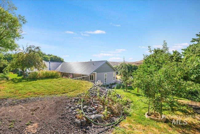 View of orchard and back lawn. | Image 33