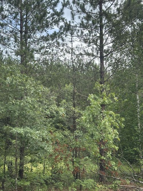 lot-6-rns-NEAR Cth Y S, Tomahawk, WI, 54487 | Card Image