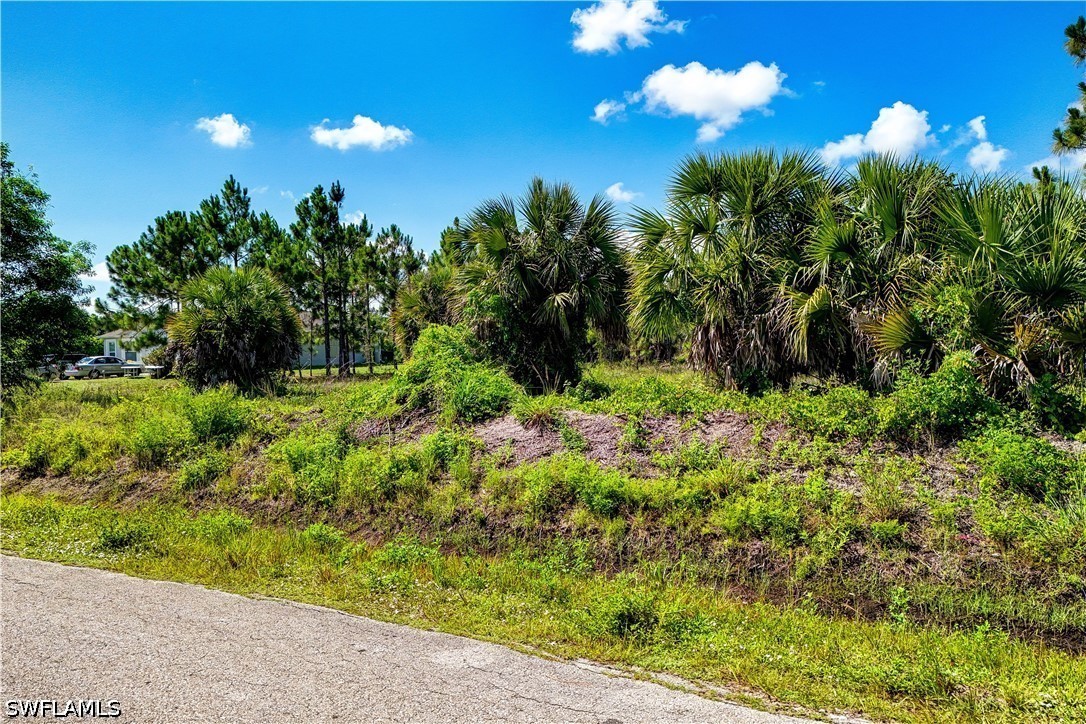 Land in Naples