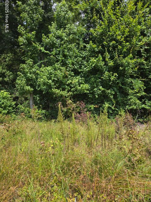 0 Chapman Dr, Grifton, NC, 28530 | Card Image