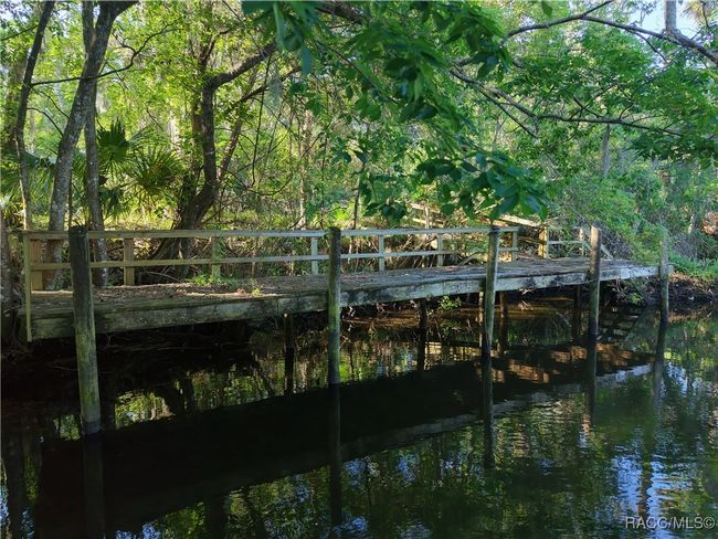 12445 W Foss Groves Path, Home with 0 bedrooms, 0 bathrooms and null parking in INGLIS FL | Image 6