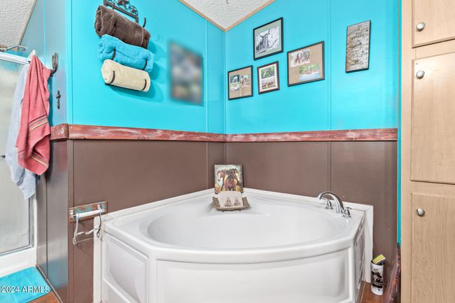 1330 E Scenic St, House other with 3 bedrooms, 2 bathrooms and null parking in Apache Junction AZ | Image 69