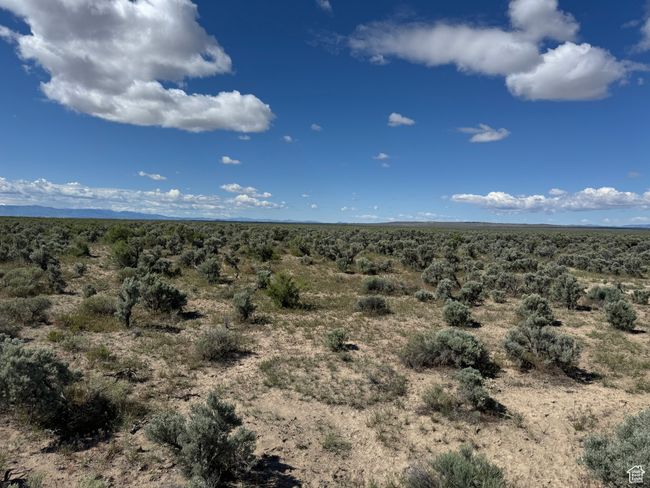 View of undeveloped land | Image 8