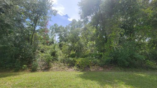 00 S Georgetown Point Rd, Georgetown, FL, 32139 | Card Image