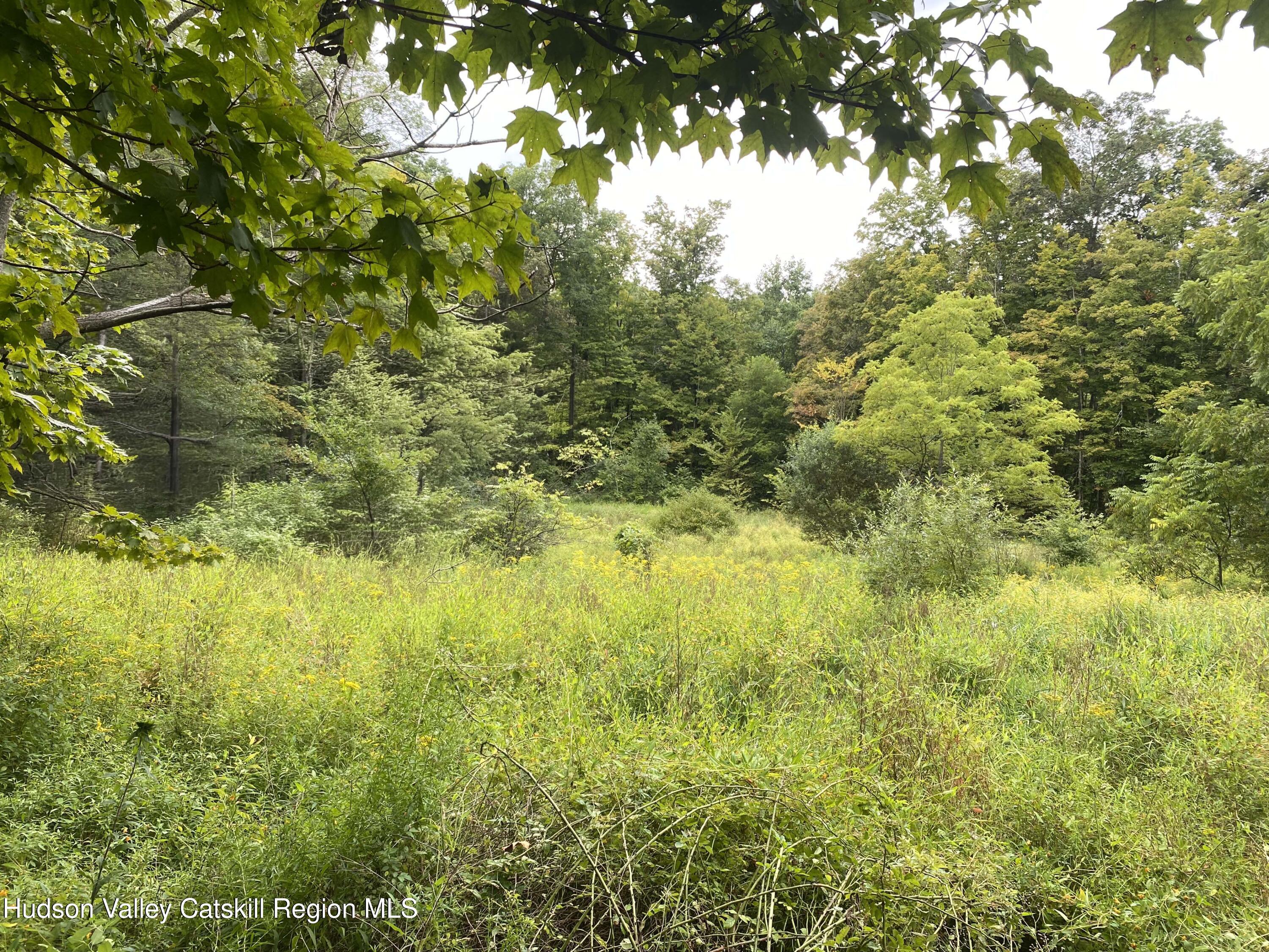 Land in Poughkeepsie 4