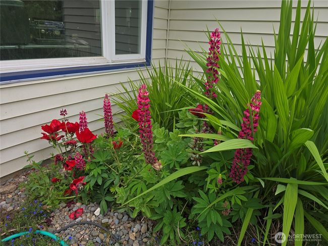 Front Yard | Image 29