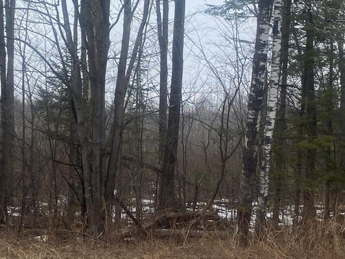 ON State Highway 64, Merrill, WI, 54452 | Card Image