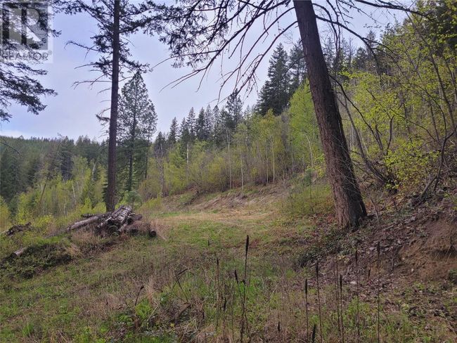 24 - 2481 Squilax Anglemont Rd, Home with 0 bedrooms, 0 bathrooms and null parking in Lee Creek BC | Image 10