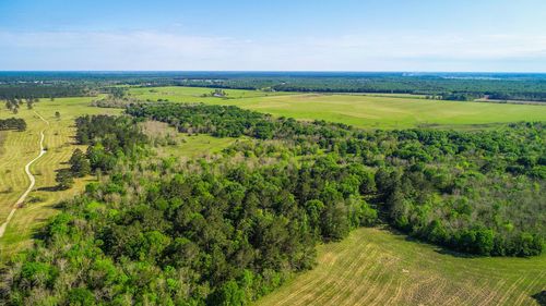 40902 Highway 105, Batson, TX, 77519-8065 | Card Image