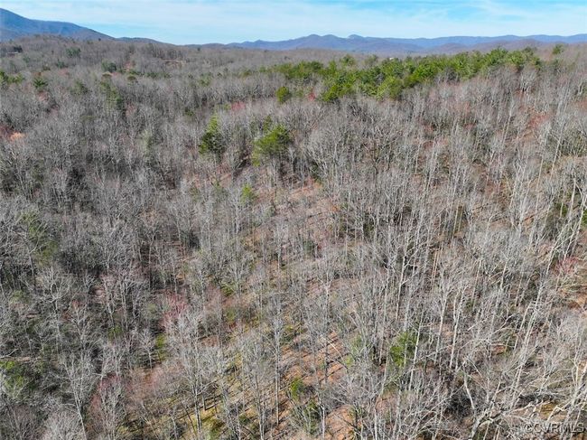41.18 Acres (Off Of) Pole Bridge Rd, Home with 0 bedrooms, 0 bathrooms and null parking in Stuart VA | Image 12