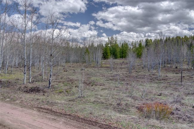 View of local wilderness with a wooded view | Image 9