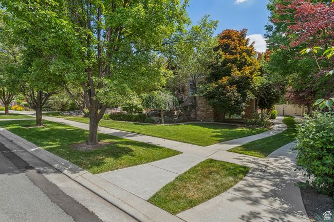 Surrounding community | Image 65