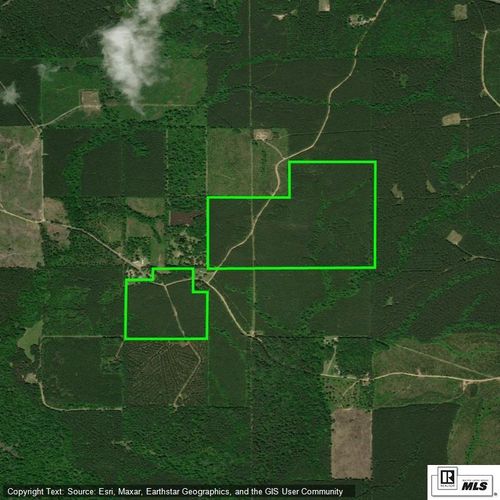 0 Holly Hill Rd, Grayson, LA, 71435 | Card Image