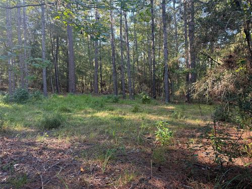 19 Dagger Dr N, Brookeland, TX, 75931 | Card Image