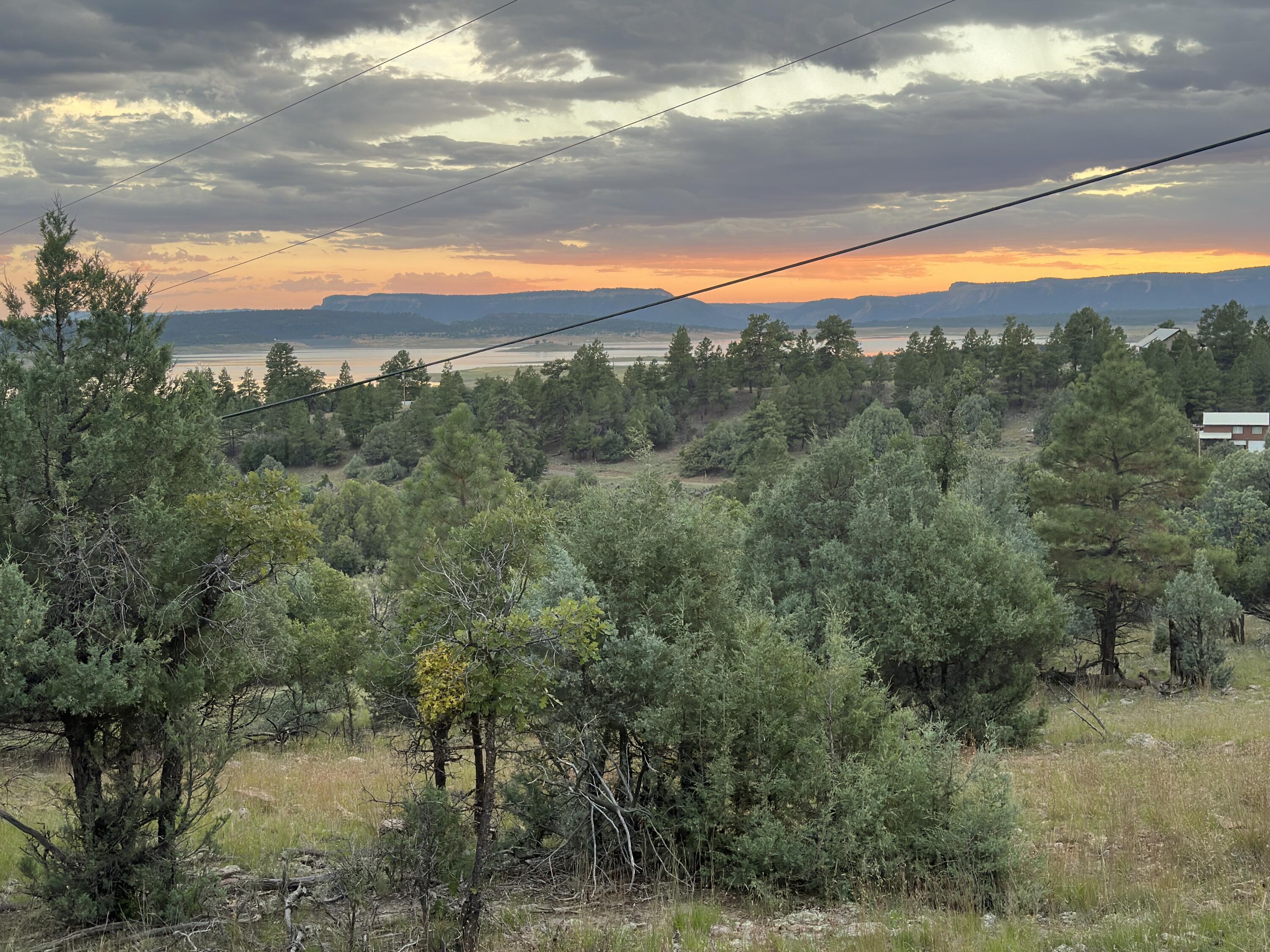 Land in Los Ojos 2