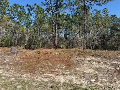 8865 Lansen Way, Citrus Springs, FL, 34433 | Card Image
