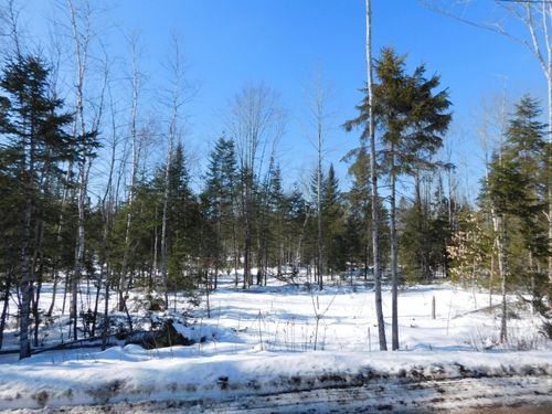 Lot # 1 Spring Bridge Road, Greenbush, ME, 04418 | Card Image