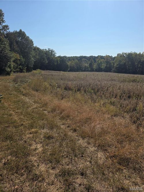 0 Birch Creek Farm Loop, Leslie, MO, 63056 | Card Image