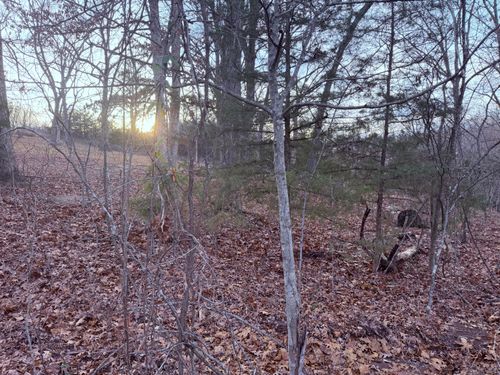 000 N Dade 173, Greenfield, MO, 65661 | Card Image