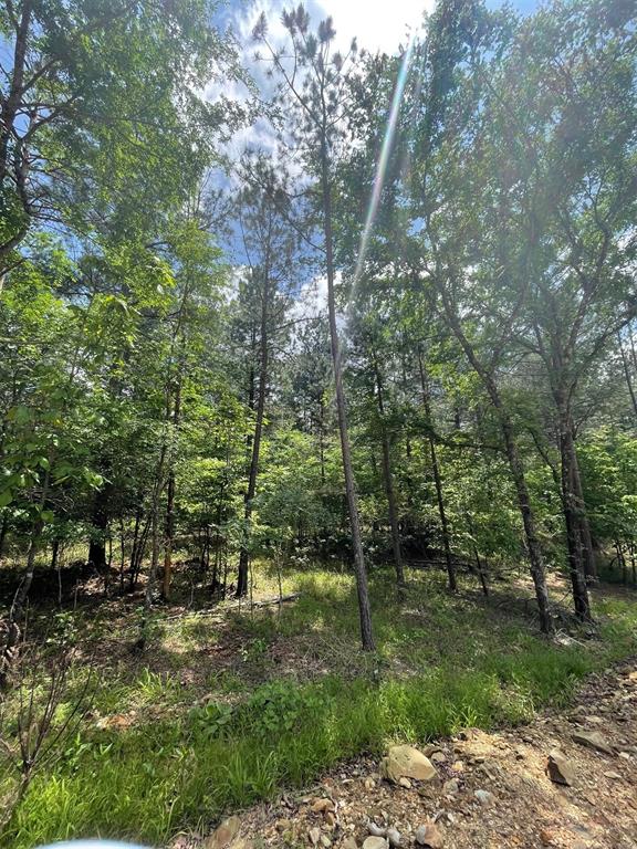 Land in Broken Bow 2