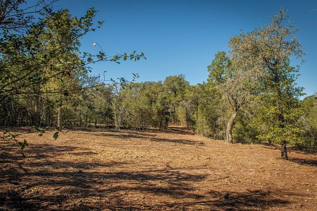 88C - 510 Thousand Oaks Dr, Home with 0 bedrooms, 0 bathrooms and null parking in Cedar Creek TX | Image 7