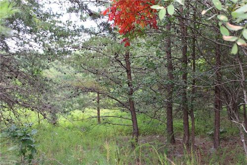 00 Ralph Joyce Rd, Sandy Ridge, NC, 27046 | Card Image