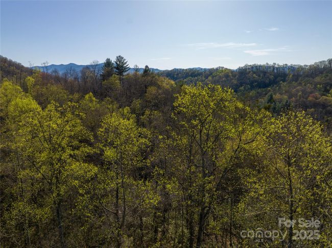 9999 Wayehutta Rd, Home with 0 bedrooms, 0 bathrooms and null parking in Cullowhee NC | Image 6