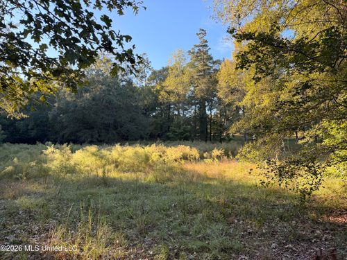 000 Ole Springs Road, Summit, MS, 39666 | Card Image