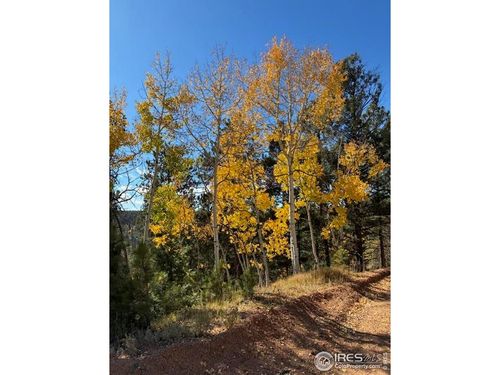 85 Remwood Cir, Divide, CO, 80814-9668 | Card Image
