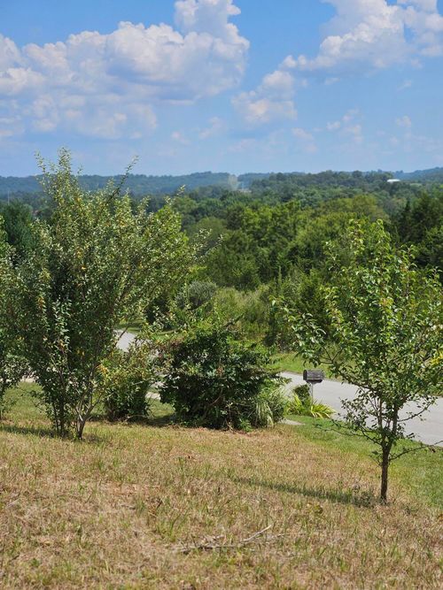 6 Links View Drive, Butler, KY, 41006 | Card Image