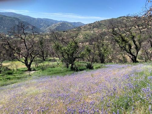  Cachagua, Carmel Valley, CA, 93924 | Card Image