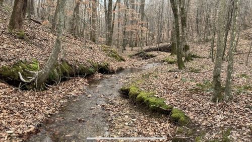 1 West Mackey Rd, Iron City, TN, 38463 | Card Image