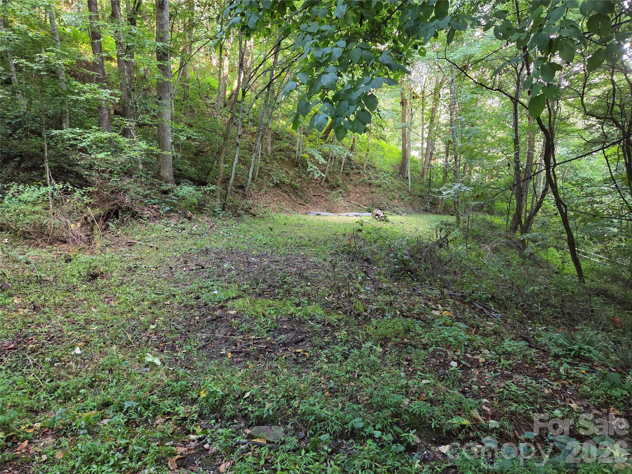 Land in Maggie Valley 4