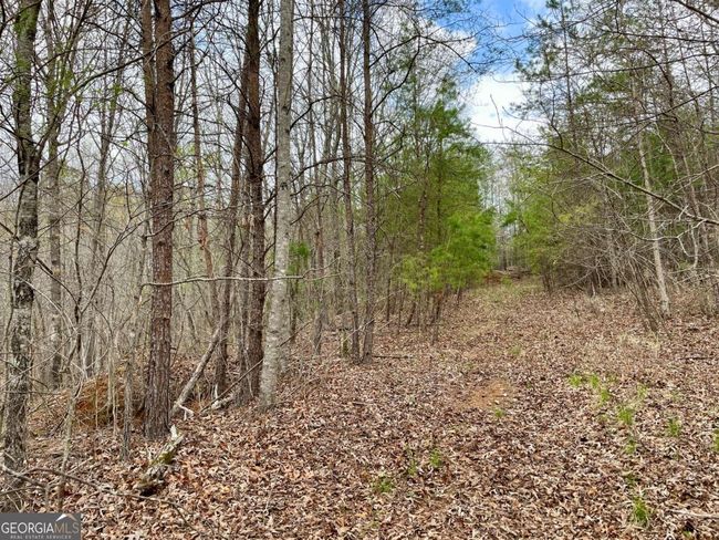 0 Mountain Ridge Dr, Home with 0 bedrooms, 0 bathrooms and null parking in Dahlonega GA | Image 15